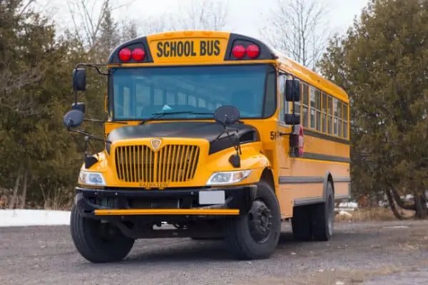 school bus drivers